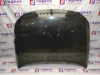 Капот Volkswagen Passat B6 3C0823031C. Дефекты.