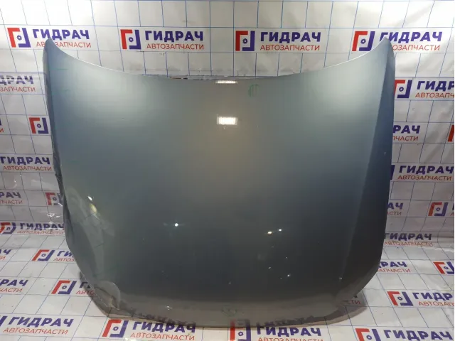 Капот Volkswagen Passat (B6)