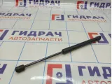 Амортизатор крышки багажника Volkswagen Passat (B6) 3C5827550C
