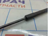 Амортизатор крышки багажника Volkswagen Passat (B6) 3C5827550C