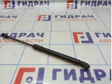 Амортизатор крышки багажника Volkswagen Passat (B6) 3C5827550C