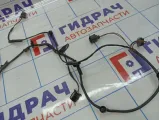 Проводка крышки багажника Volkswagen Passat (B6) 3C5971147F
