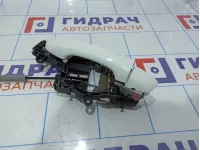 Ручка двери наружная передняя левая Volkswagen Passat (B8)