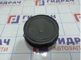 Динамик Volkswagen Passat (B8) 3G0035454