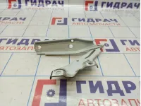 Петля капота левая Volkswagen Passat (B8) 3G0823301