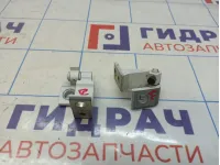 Петли двери задней левой Volkswagen Passat (B8)