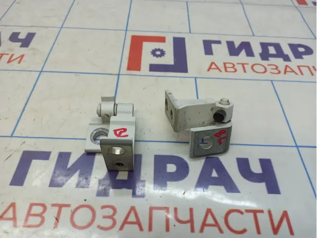 Петли двери задней левой Volkswagen Passat (B8)