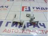 Петли двери задней правой Volkswagen Passat (B8)