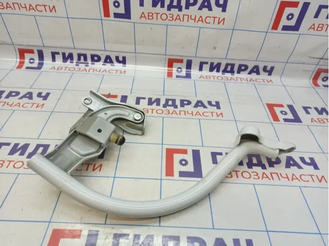 Петля крышки багажника правая Volkswagen Passat (B8) 3G5827302A