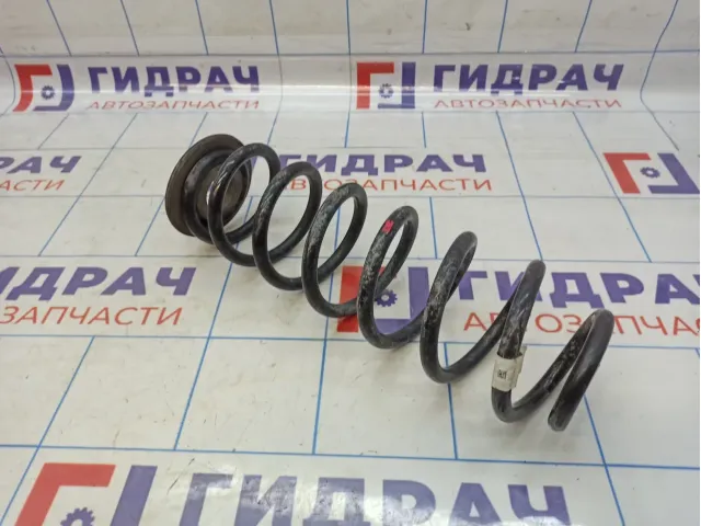 Пружина задняя Volkswagen Passat (B8) 3Q0511115AN
