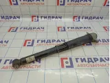 Амортизатор задний Volkswagen Passat (B8) 3Q0513049GQ