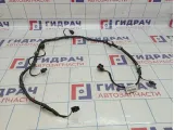 Проводка заднего бампера Volkswagen Passat (B8) 3G5971104C