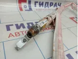 Подушка безопасности боковая (шторка) правая Volkswagen Passat (B8) 3G0880742F