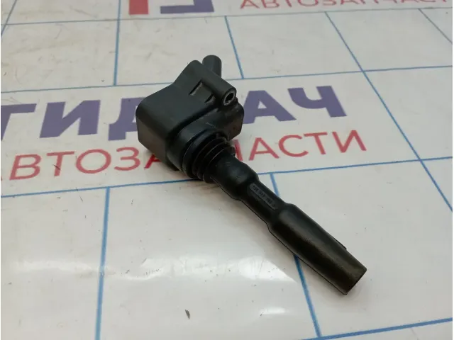 Катушка зажигания Volkswagen Passat (B8) 04E905110K