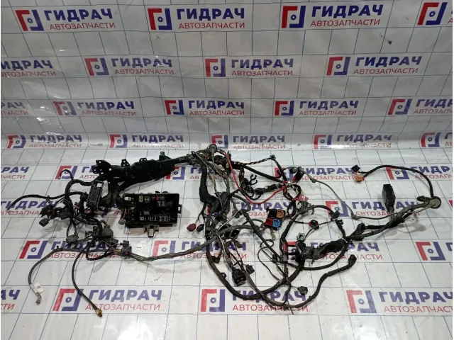Проводка (коса) моторная Volkswagen Passat (B8)