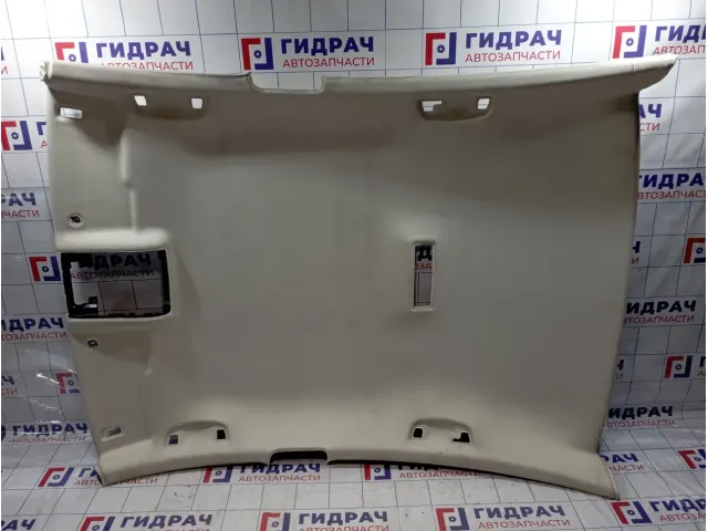 Обшивка потолка Volkswagen Passat (B8) 3G5867501PB7