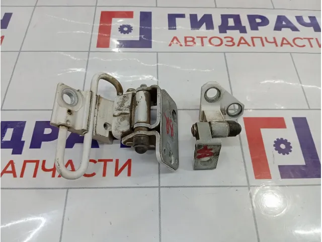 Петли двери задней правой Volkswagen Passat CC