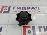 Болт крепления запасного колеса Volkswagen Passat CC 3C0803899