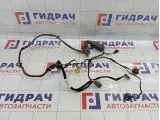 Проводка двери передней левой Volkswagen Passat CC 3C8971120BN