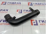 Патрубок интеркулера Volkswagen Passat CC 1K0129654AP