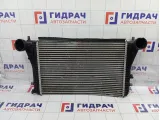 Интеркулер Volkswagen Passat CC 3C0145805R