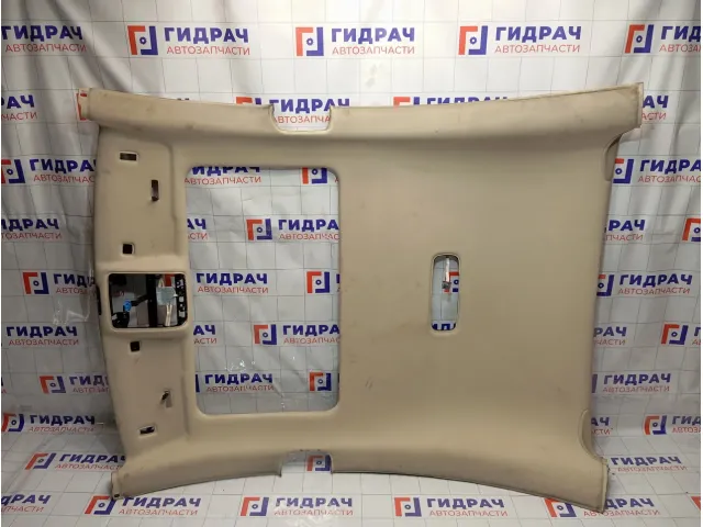 Обшивка потолка Volkswagen Passat CC 3C8867502G5R0