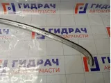 Молдинг крыши левый Volkswagen Passat CC 3C8854701C