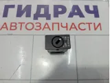 Выключатель пассажирской AIR BAG Volkswagen Passat CC 3C0919237B9B9 