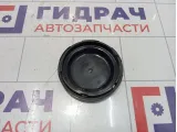 Крышка фары Volkswagen Passat CC 3C8941607 