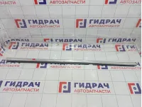 Накладка стекла заднего левого Volkswagen Passat CC 3C8839475F3Q7