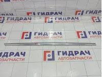 Молдинг задней правой двери Volkswagen Passat CC 3C8853074A2ZZ 