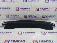 Полка багажника Volkswagen Passat CC 3C8863411C