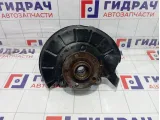 Кулак поворотный передний левый Volkswagen Passat CC 3C0407253F