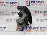 Кулак поворотный передний левый Volkswagen Passat CC 3C0407253F