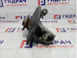 Кулак поворотный передний правый Volkswagen Passat CC 3C0407254F