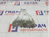 Кронштейн крепления крыла Volkswagen Passat CC 3C8821142 
