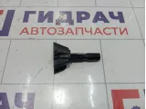 Направляющая лючка бензобака Volkswagen Passat CC 3C8810899B 