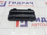 Решетка вентиляционная Volkswagen Passat CC 3C0819465 