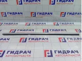 Молдинг двери задней левой Volkswagen Passat CC 3C8839475F