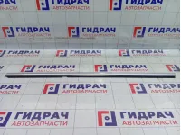 Молдинг двери задней левой Volkswagen Passat CC 3C8839475F