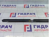 Молдинг двери задней левой Volkswagen Passat CC 3C8839475F