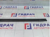 Молдинг двери задней левой Volkswagen Passat CC 3C8839475F