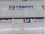 Молдинг двери задней правой Volkswagen Passat CC 3C8839476F