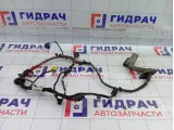 Проводка двери передней левой Volkswagen Passat CC 3C8971120B
