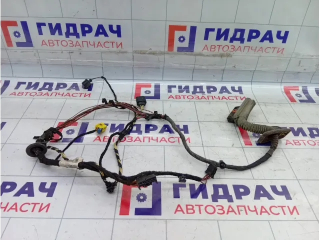 Проводка двери передней левой Volkswagen Passat CC 3C8971120B