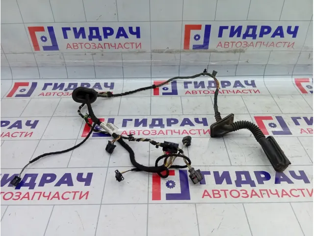 Проводка двери задней левой Volkswagen Passat CC 3C8971693C