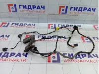 Проводка двери передней правой Volkswagen Passat CC 3C8971121C