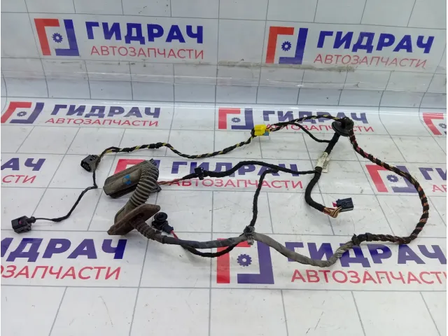 Проводка двери передней правой Volkswagen Passat CC 3C8971121C