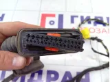 Проводка двери передней правой Volkswagen Passat CC 3C8971121C