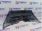 Решетка радиатора Volkswagen Passat CC 3C8853651